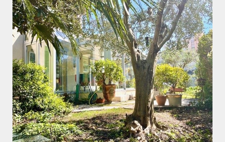 Maison   MONTPELLIER  170 m2 650 000 € 