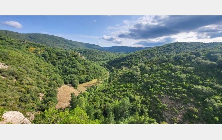 Maison QUINTILLAN 156 m2 365 000 € Maison QUINTILLAN 156 m2 365 000 €