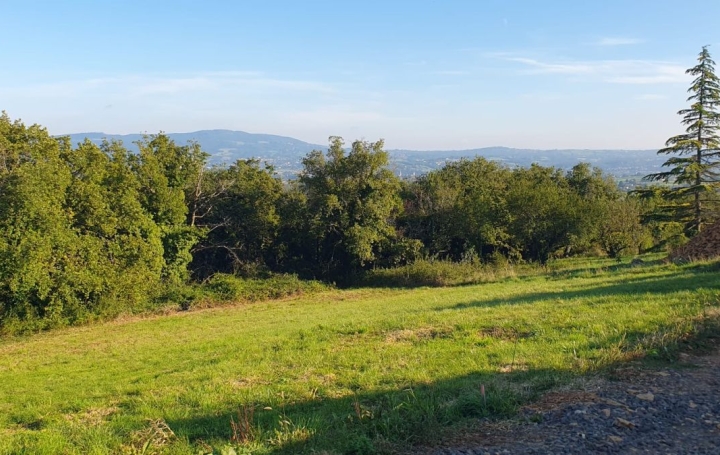  ODYSSEE - IMMO-DIFFUSION Terrain | MARCY (69480) | 0 m2 | 269 000 € 