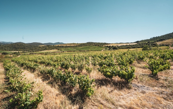  ODYSSEE - IMMO-DIFFUSION Terrain | CASCASTEL-DES-CORBIERES (11360) | 107 m2 | 149 000 € 
