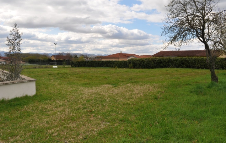  ODYSSEE - IMMO-DIFFUSION Terrain | MONTMERLE-SUR-SAONE (01090) | 0 m2 | 200 000 € 