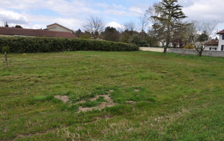  ODYSSEE - IMMO-DIFFUSION Terrain | MONTMERLE-SUR-SAONE (01090) | 0 m2 | 160 000 € 