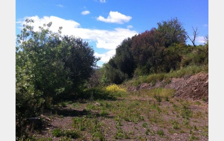 ODYSSEE - IMMO-DIFFUSION : Ground | CASCASTEL-DES-CORBIERES (11360) | 0 m2 | 51 000 € 